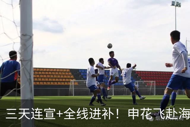 三天连宣+全线进补！申花飞赴海口启动新赛季